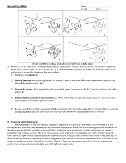 Darwin&amp;#039;s Natural Selection Worksheet Answers Best Of Studylib Essys Homework Help Flashcards Research