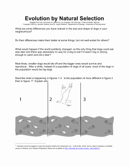 Darwin&amp;#039;s Natural Selection Worksheet Answers Elegant Studylib Essys Homework Help Flashcards Research