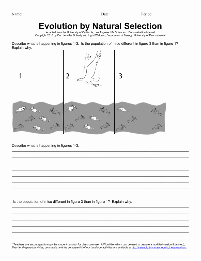 Darwin&amp;#039;s Natural Selection Worksheet Answers Fresh Darwin039s Natural Selection Worksheet