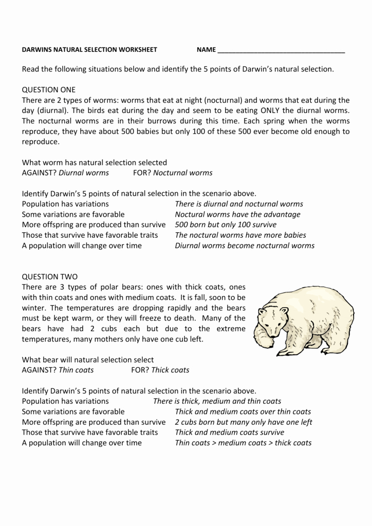 Darwin&amp;#039;s Natural Selection Worksheet Answers Inspirational Darwin S Natural Selection Worksheet Answers