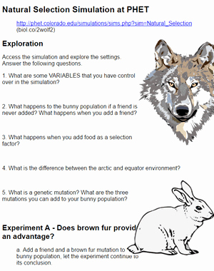 Darwin&amp;#039;s Natural Selection Worksheet Answers Lovely Natural Selection Simulator