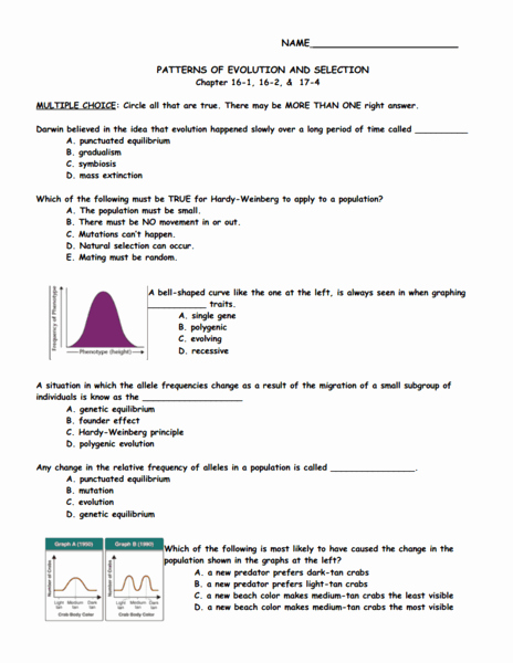Darwin&amp;#039;s Natural Selection Worksheet Answers New Patterns Of Evolution and Selection Worksheet for 9th