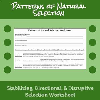Darwin&amp;#039;s Natural Selection Worksheet Inspirational Patterns Of Natural Selection Worksheet by Erin Frankson