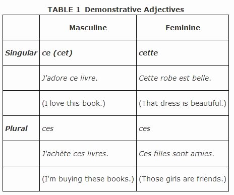 Demonstrative Adjectives Spanish Worksheet Best Of Nichols Scott Chapitre 7
