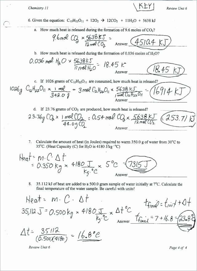 50 Density Calculations Worksheet 1