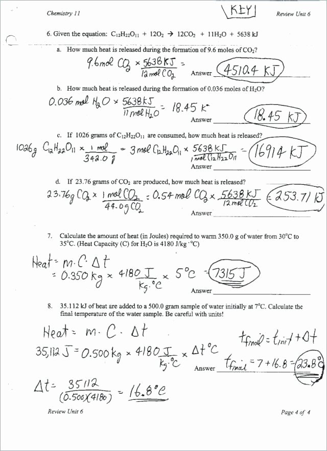 Density Calculations Worksheet Answer Key Unique Density Calculations Worksheet Answer Key