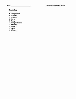 Dichotomous Key Worksheet Middle School Beautiful Middle School Lab Worksheet Classification Using A