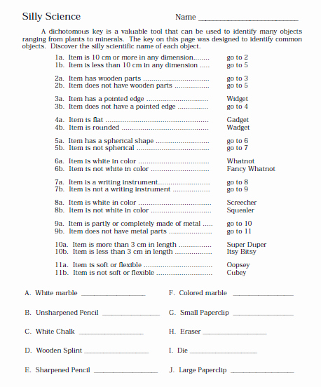 Dichotomous Key Worksheet Middle School Beautiful Silly Science for Classification Using A Dichotomous Key