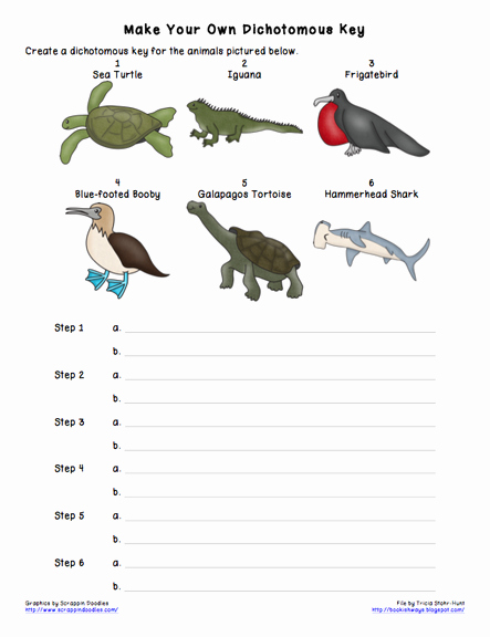 Dichotomous Key Worksheet Middle School Best Of Turtles Be the Animal with Rick Chrustowski Uwsslec