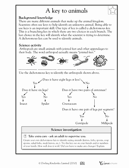 Dichotomous Key Worksheet Middle School Unique 3rd Grade Math Worksheets 2 Pairs Of Feet