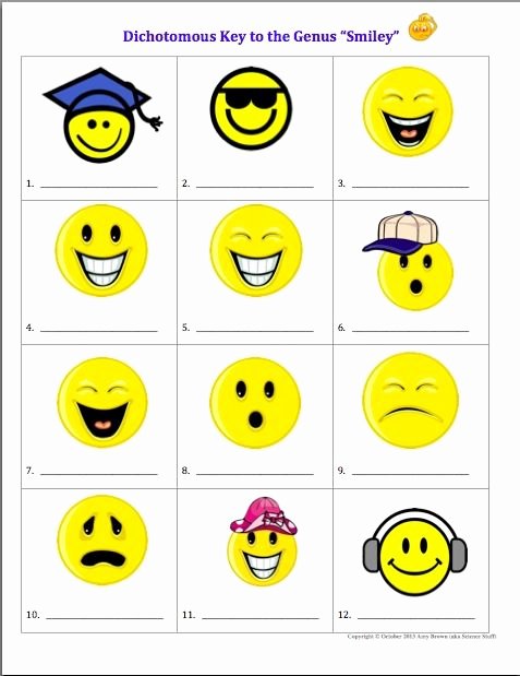 Dichotomous Key Worksheet Middle School Unique Best 25 Dichotomous Key Ideas On Pinterest
