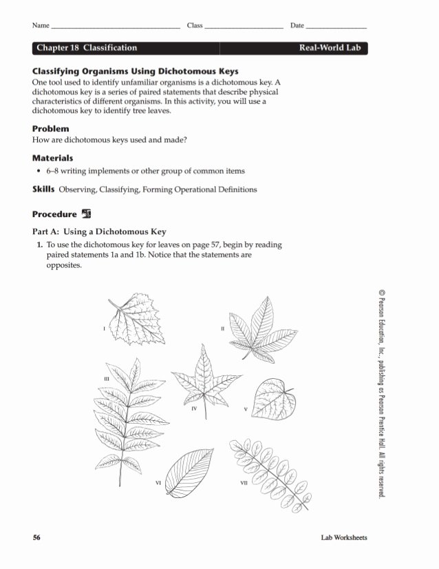 Dichotomous Key Worksheet Pdf Awesome Chapter 18 Real World Lab Dichotomous Key Leaves