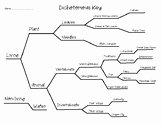 Dichotomous Key Worksheet Pdf Awesome Dichotomous Key Worksheets Teaching Resources
