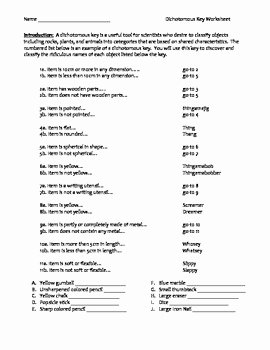 Dichotomous Key Worksheet Pdf Awesome Middle School Lab Worksheet Classification Using A