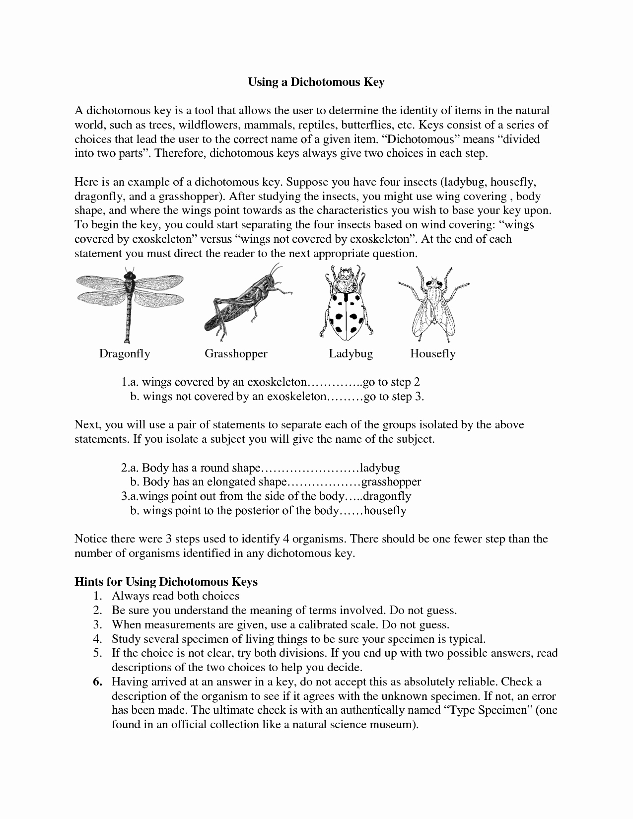 Dichotomous Key Worksheet Pdf New 13 Best Of Dichotomous Key Worksheets Leaf