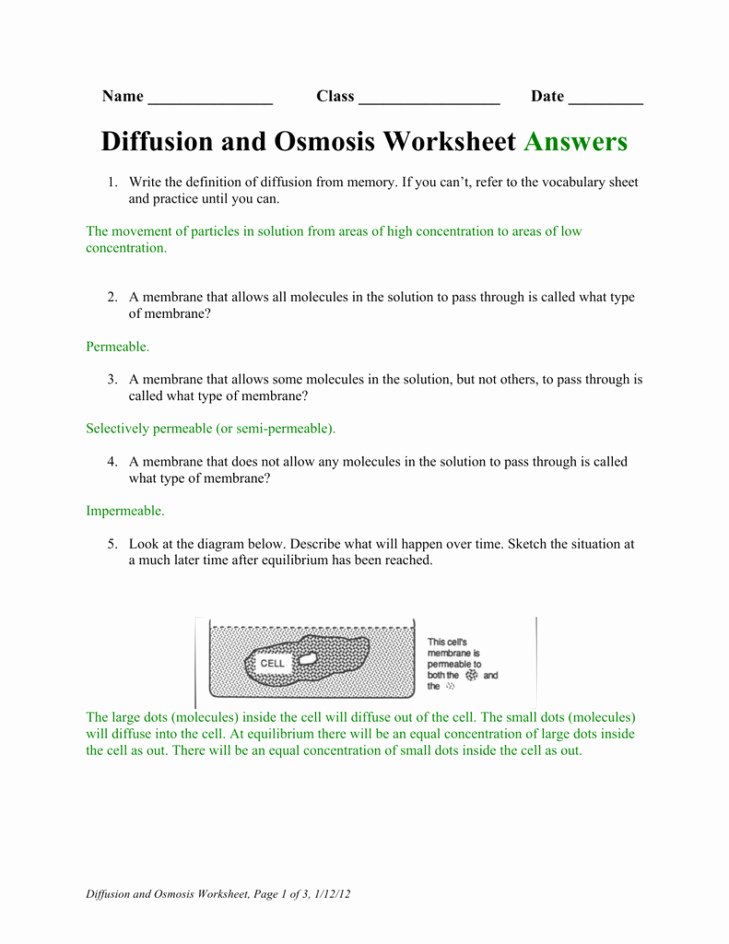 Diffusion and Osmosis Worksheet Answers Awesome Diffusion and Osmosis Worksheet Answers