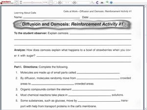 Diffusion and Osmosis Worksheet Answers Elegant Diffusion and Osmosis 9th 10th Grade Worksheet