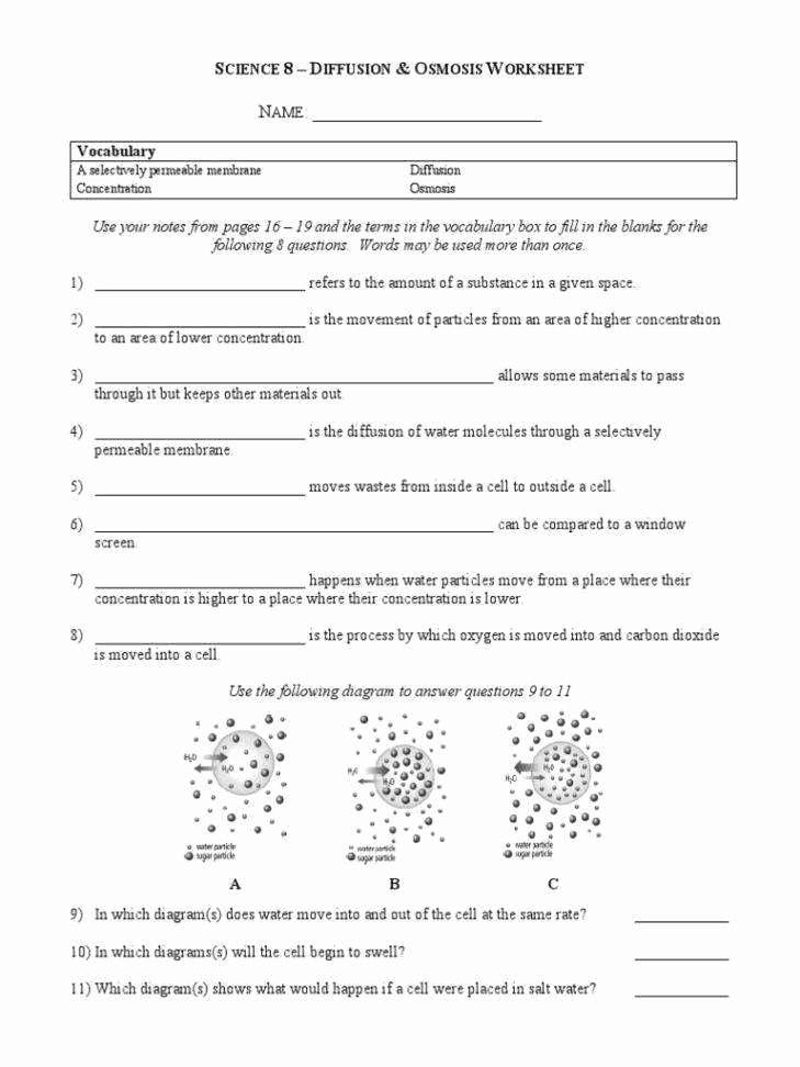 Diffusion and Osmosis Worksheet Answers Inspirational Diffusion Worksheet
