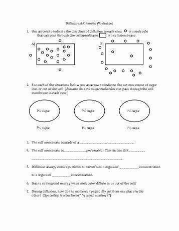 Diffusion and Osmosis Worksheet Answers Lovely Diffusion and Osmosis Worksheet