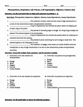 Diffusion and Osmosis Worksheet Answers Luxury Life Processes Cellular Processes Diffusion Osmosis
