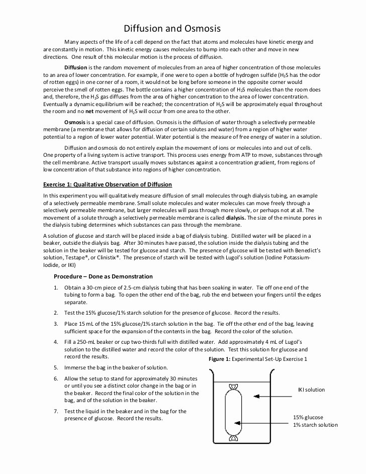 Diffusion and Osmosis Worksheet Answers New Diffusion and Osmosis Student Handout