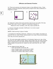 Diffusion and Osmosis Worksheet Answers Unique Diffusion Wksht Pdf Diffusion Osmosis Worksheet 1 Use