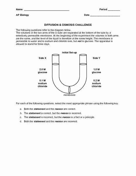Diffusion and Osmosis Worksheet Awesome Diffusion and Osmosis Worksheet
