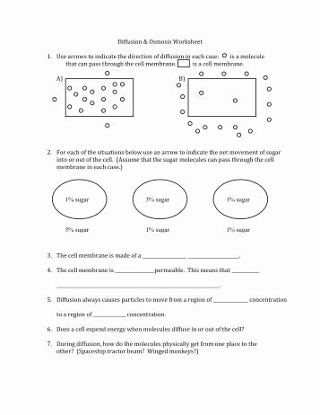 Diffusion and Osmosis Worksheet Awesome Osmosis Tiered Lesson