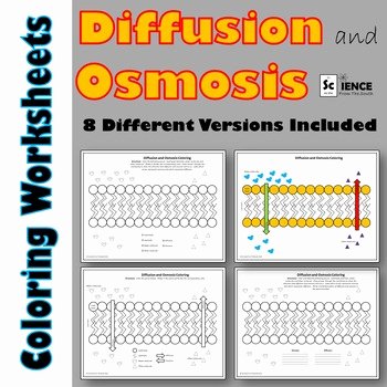 Diffusion and Osmosis Worksheet Elegant Diffusion and Osmosis Color by Science From the south