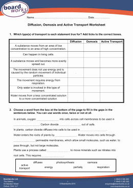 Diffusion and Osmosis Worksheet Luxury Diffusion Osmosis and Active Transport Worksheet