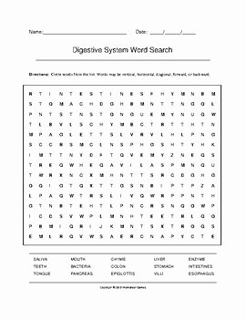 Digestive System Worksheet Answer Key Fresh Digestive System Word Search with Key Grades 7 10 by