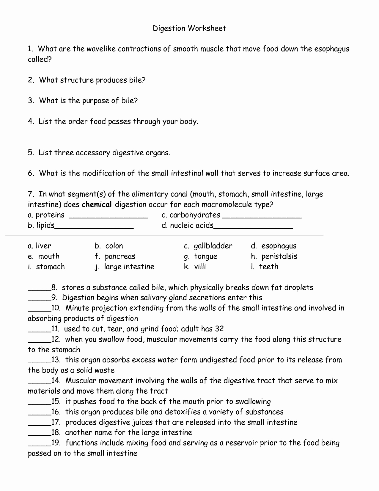 Digestive System Worksheet Answer Key Inspirational 12 Best Of Lipid Worksheet Answers Cell Membrane