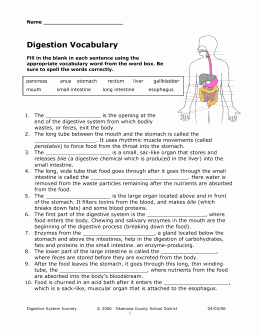 Digestive System Worksheet Answer Key Lovely Studylib Essys Homework Help Flashcards Research