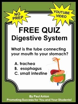 Digestive System Worksheet Answer Key Luxury Digestive System Here is A Free Digestive System