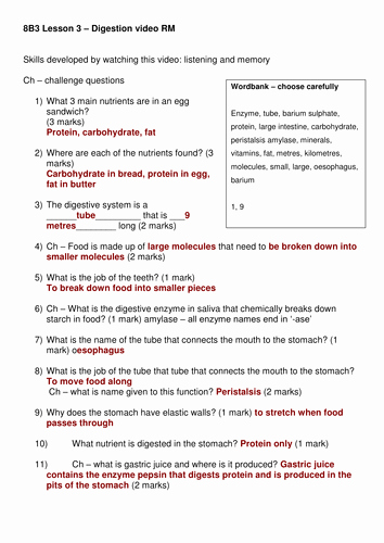 Digestive System Worksheet Answer Key New Digestive System Video Questions and Answers