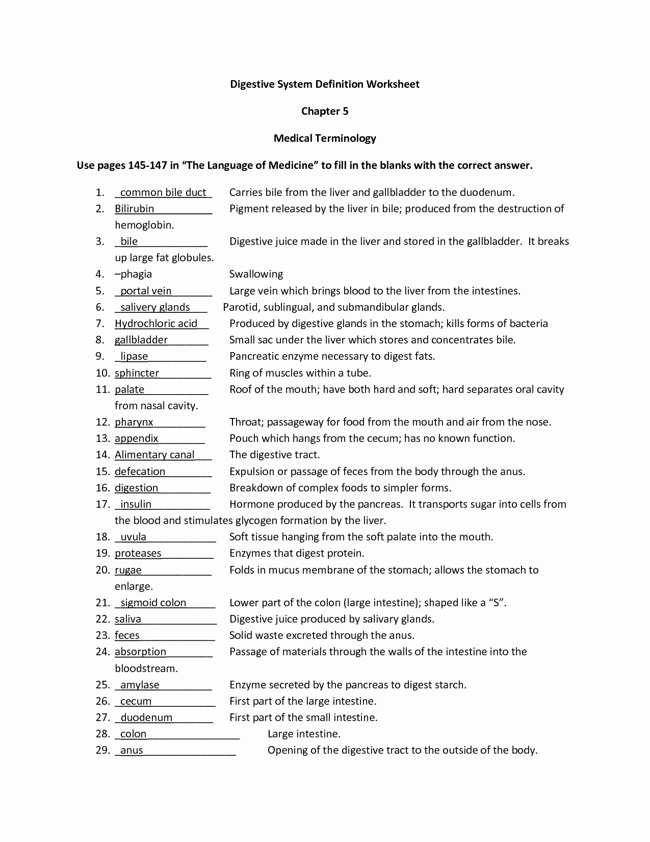 Digestive System Worksheet Answer Key