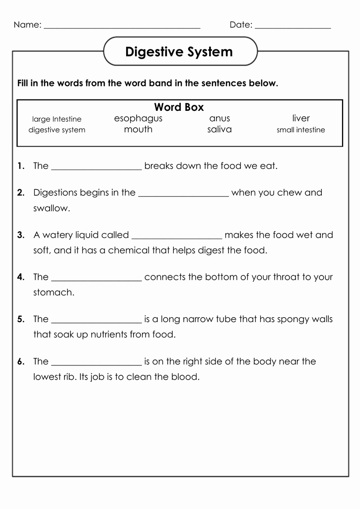 Digestive System Worksheet Answers Awesome 4th Grade Science Worksheets Best Coloring Pages for Kids