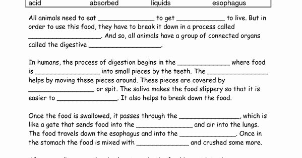 Digestive System Worksheet Answers New Food Digestion Worksheets