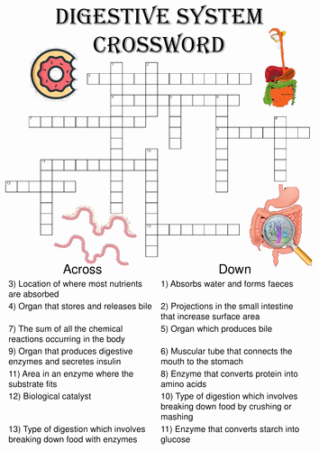 Digestive System Worksheet Answers Unique Biology Crossword Puzzle the Digestive System Includes