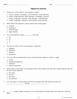 Digestive System Worksheet Answers Unique Digestive System Continuing Education Free Printable