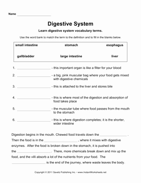 Digestive System Worksheet Pdf Beautiful Digestive System School Health