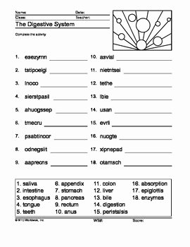 Digestive System Worksheet Pdf Lovely Digestive System Word Scramble Printable by Lesson Machine