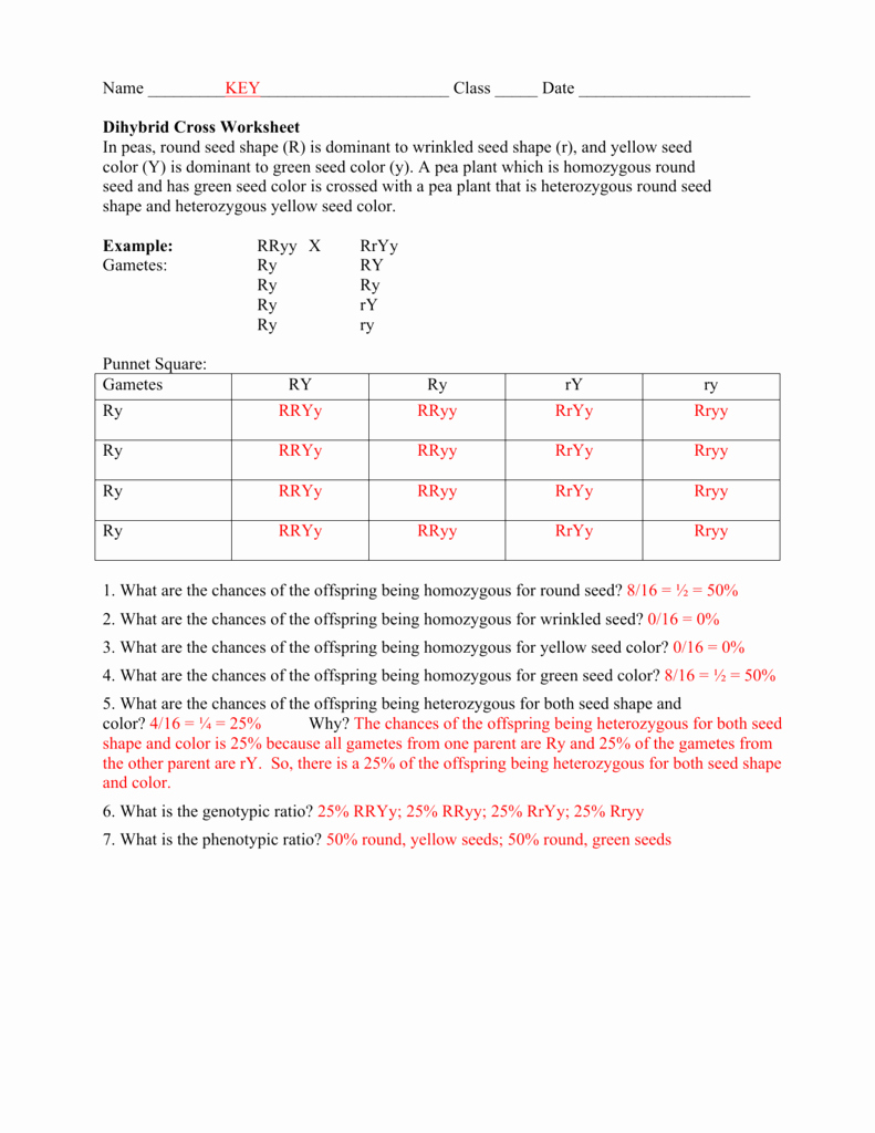 Dihybrid Cross Worksheet Answers Elegant Dihybrid Cross Worksheet In Peas Round Seed