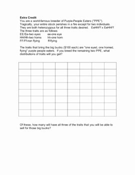Dihybrid Cross Worksheet Answers Unique Dihybrid Cross Worksheet by Goby S Lessons