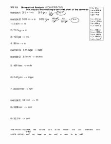 Dimensional Analysis Worksheet and Answers Luxury Ws 1 6 Dimensional Analysis Worksheet for 10th 12th