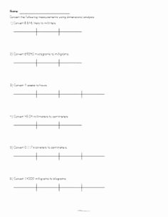 Dimensional Analysis Worksheet Chemistry Unique Stoichiometry Worksheet Classroom