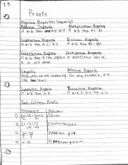 Distance formula Worksheet with Answers New the Distance formula Worksheets with Answers tocheck