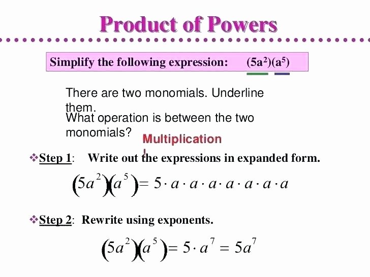 Dividing Polynomials by Monomials Worksheet New Division Of Polynomials by Monomials Worksheet – Dzulfikar