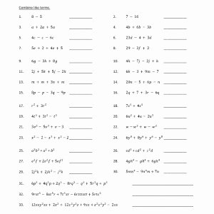 Dividing Polynomials Worksheet Answers Lovely Dividing Polynomials by Monomials Worksheet the Best