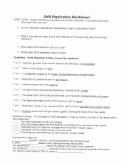 Dna and Replication Worksheet Answers Awesome Lenoir Munity College Course Hero